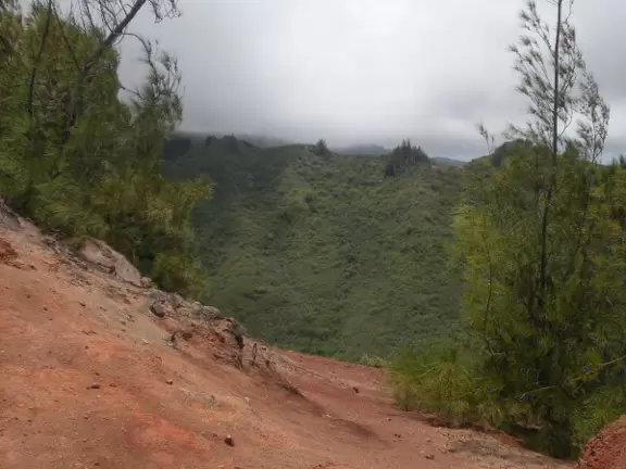 Hawaii Loa Ridge Hike