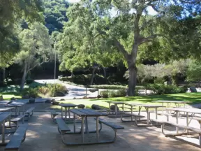 A whole bunch of picnic tables, at Area Three of Toro Canyon Park.