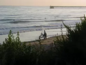 Surfers enjoy the swell near the pier. This surf spot is called Haskells.