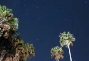 Stars and palm trees. Hendry's is a nice place to come at night.