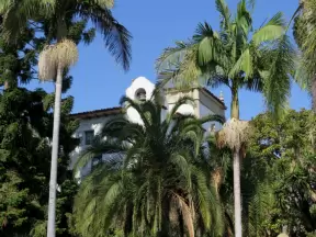 Tropical trees and bell tower.