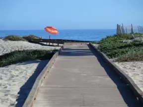 Boardwalk over the dunes.