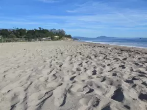 The soft, abundant sand.