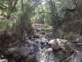 Jesusita Trail