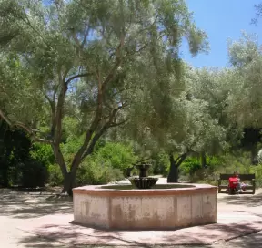 Spanish fountain in the garden amongst olive trees.