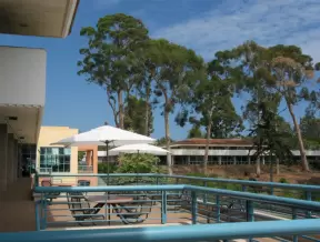 Chairs and tables on the upstairs UCen balcony. Eucalyptus trees behind, near the freshman cafeteria.