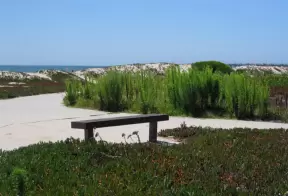 Walking paths behind the beach and dunes.