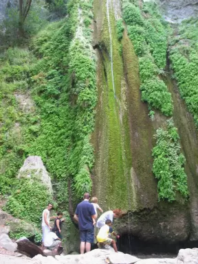 The falls in Summer 2008, lush with ferns.