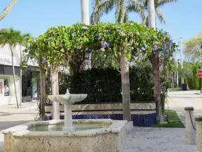 Fountain and vine over a bench, at Worth Ave and Hibiscus Ave.