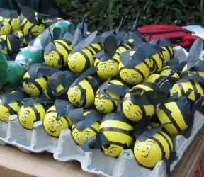 Bumblebee fiesta eggs.