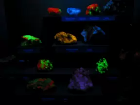 Rocks in the exhibit after you push the button!