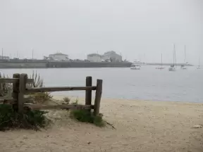 The beach on a foggy morning. 