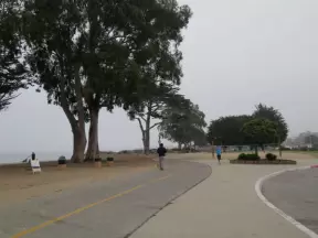 Bike path that runs along the beach. 