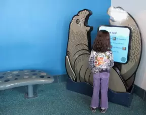 A girl explores the sounds that elephant seals make.