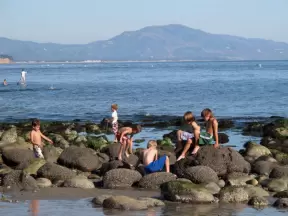 Kids explore the tide pools on a happy Saturday.
