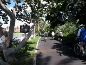 Bikes on South Lake Trail, Palm Beach 
