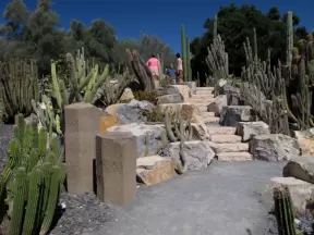 The stone highlights in the cactus garden.