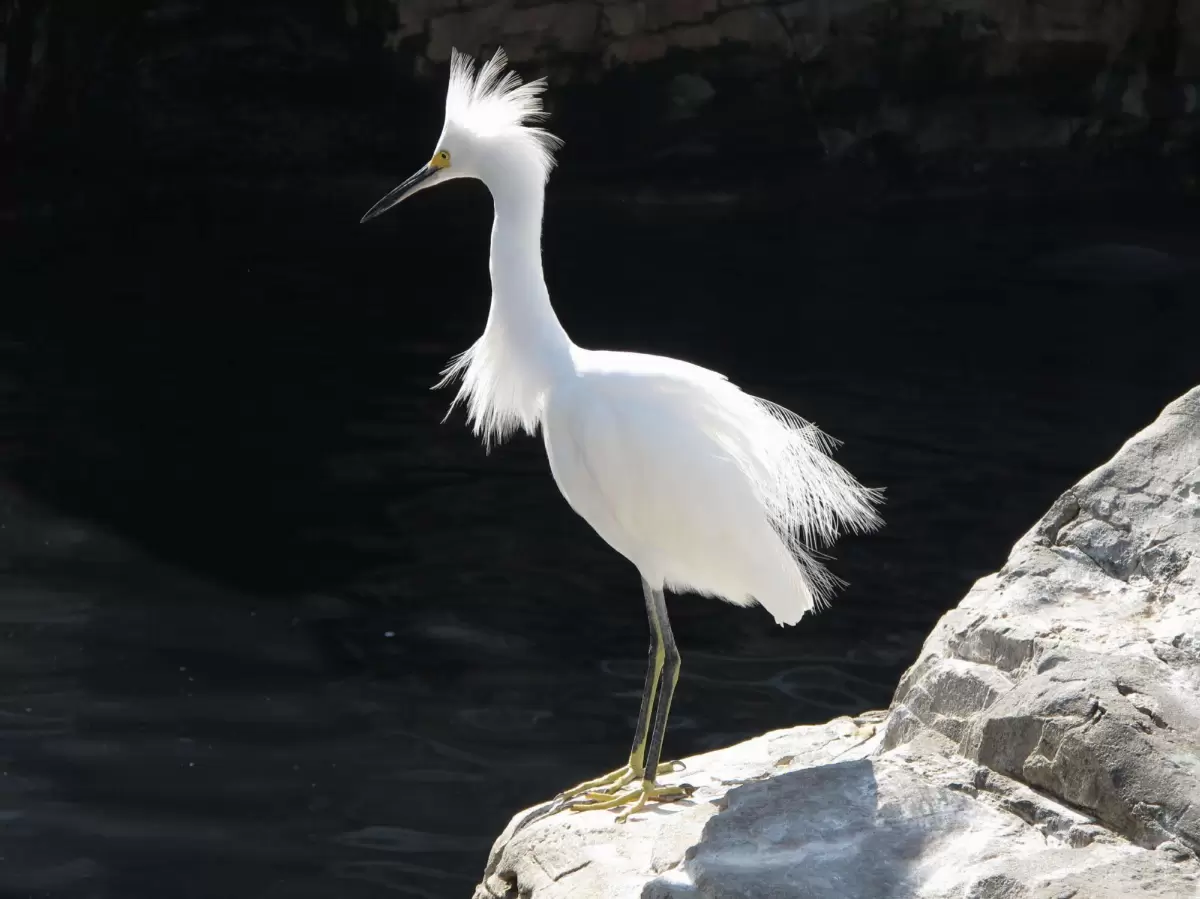SeaWorld, Orlando