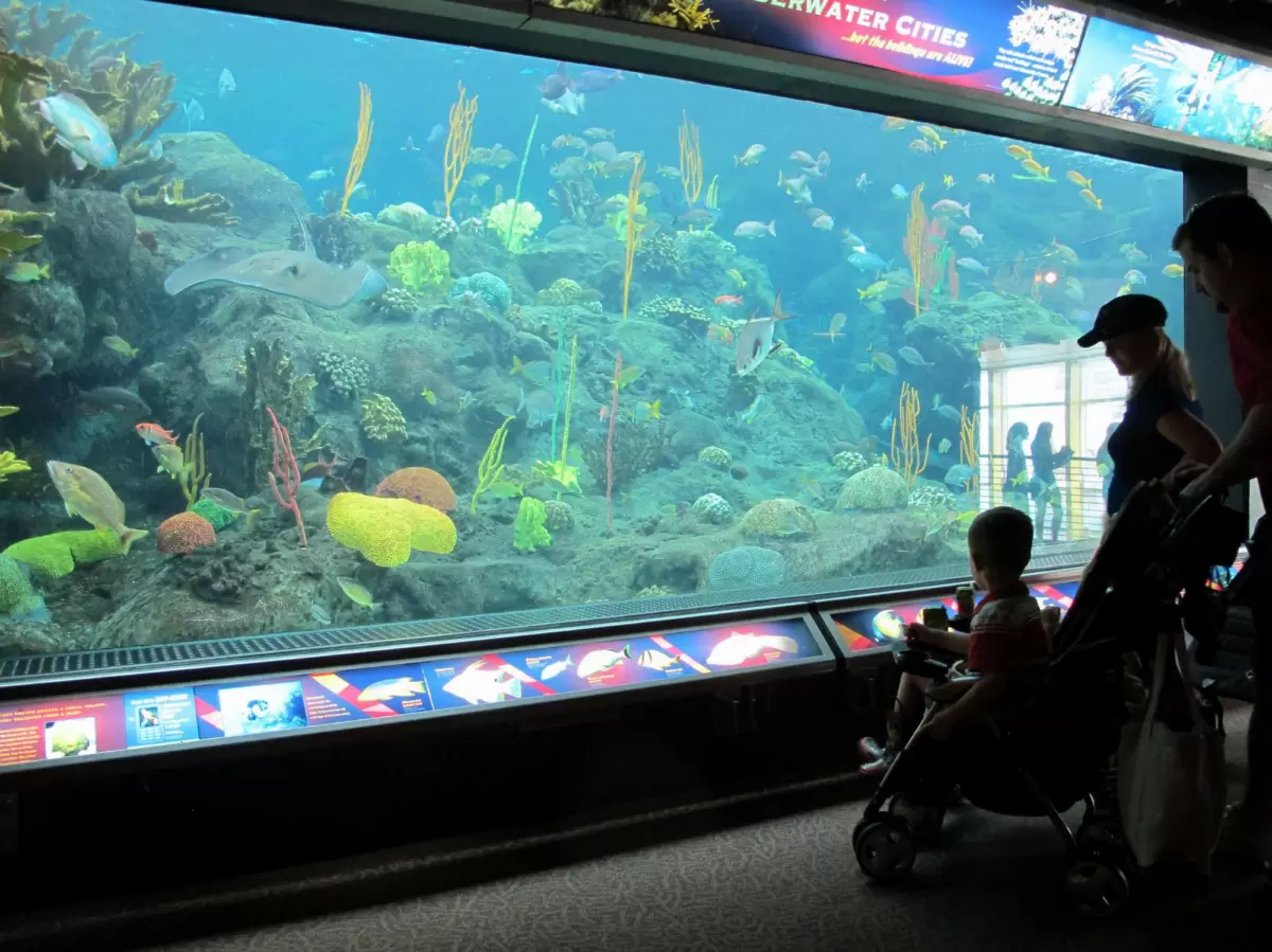 Florida Aquarium, Tampa