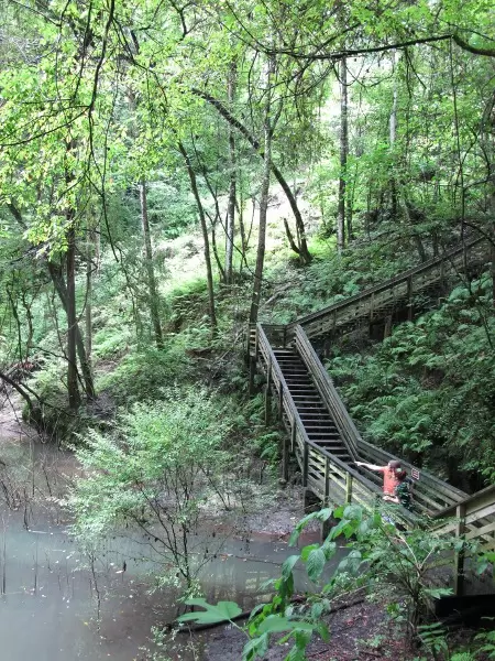 Devil's Millhopper Sinkhole, Gainesville