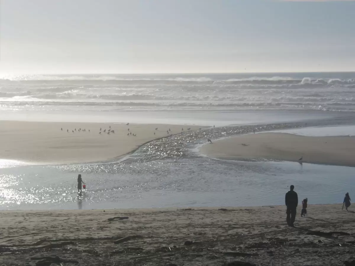 San Gregorio Beach