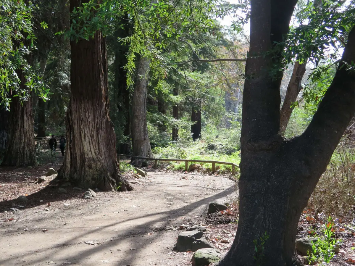 Santa Barbara Botanic Garden
