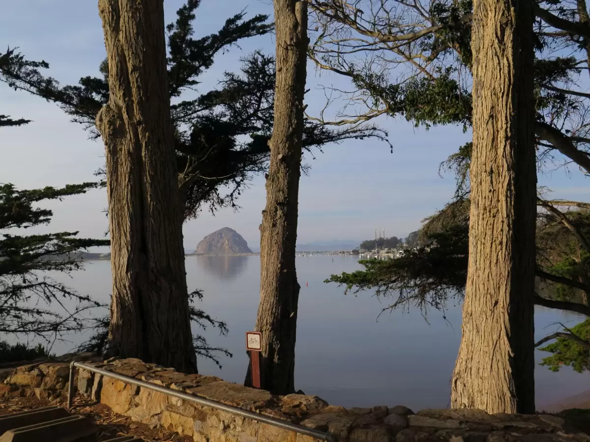 Museum of Natural History, Morro Bay