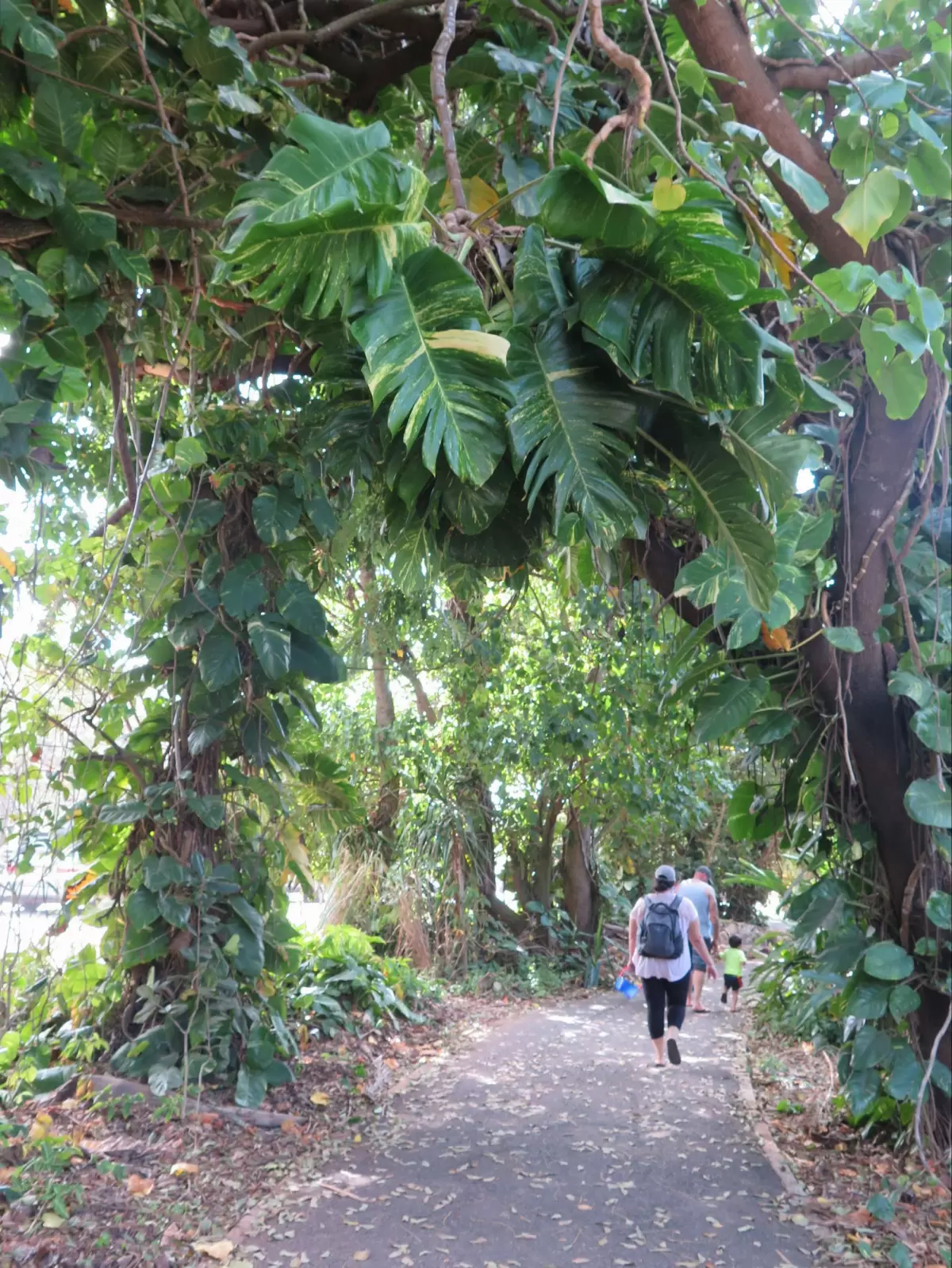 North Shore Bike Path