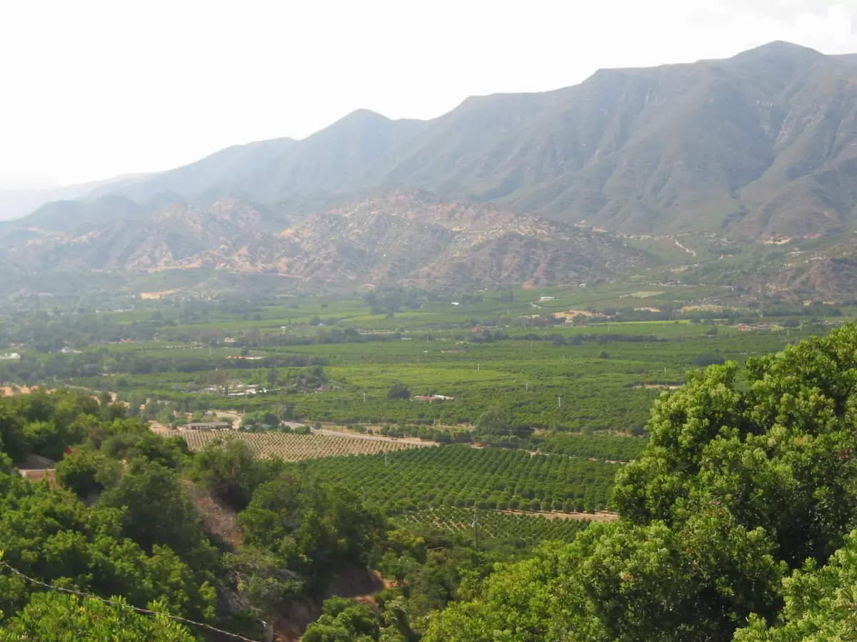 Ojai Valley Lookout