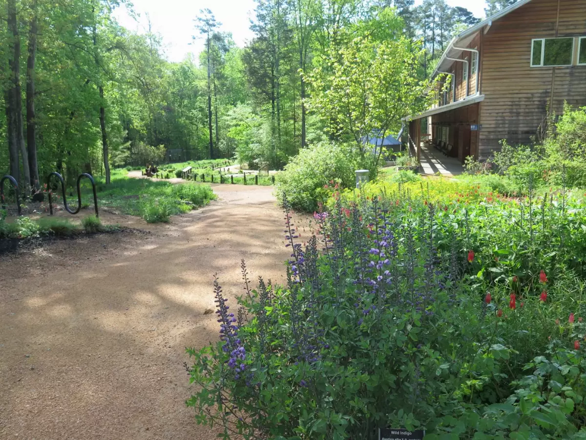 NC Botanical Garden, Chapel Hill