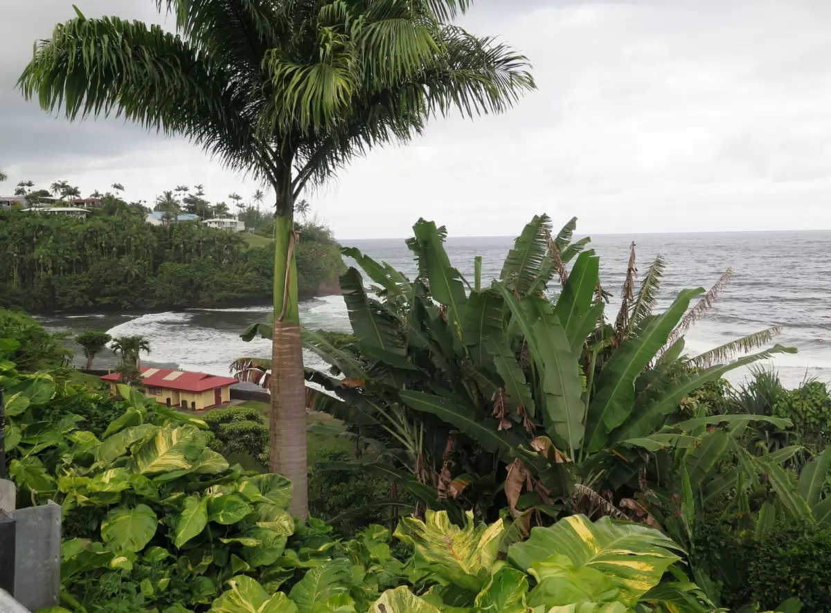 Honoli'i Beach Park, Hilo