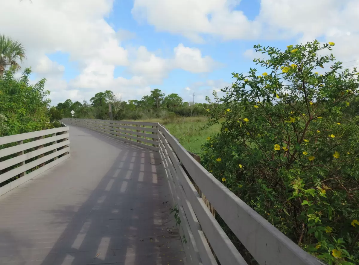 Brevard Zoo Linear Park walking path