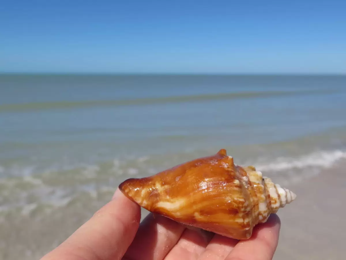 Pass-a-Grille Beach, St. Petersburg