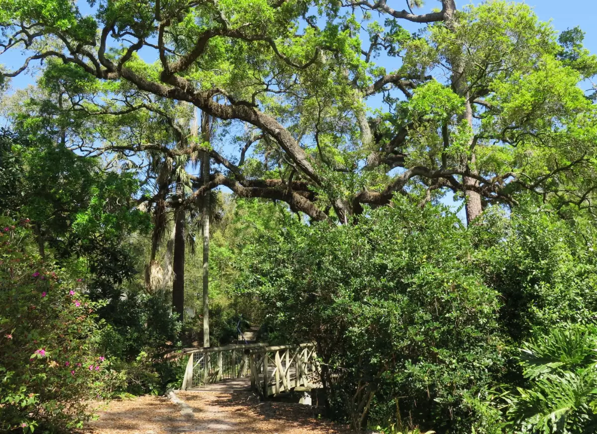 Dickson Azalea Park, Downtown Orlando