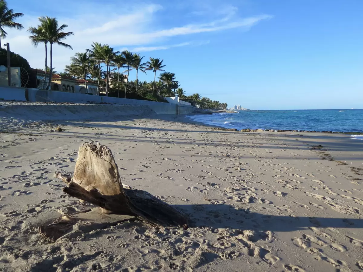 Sunset Avenue Beach, Palm Beach