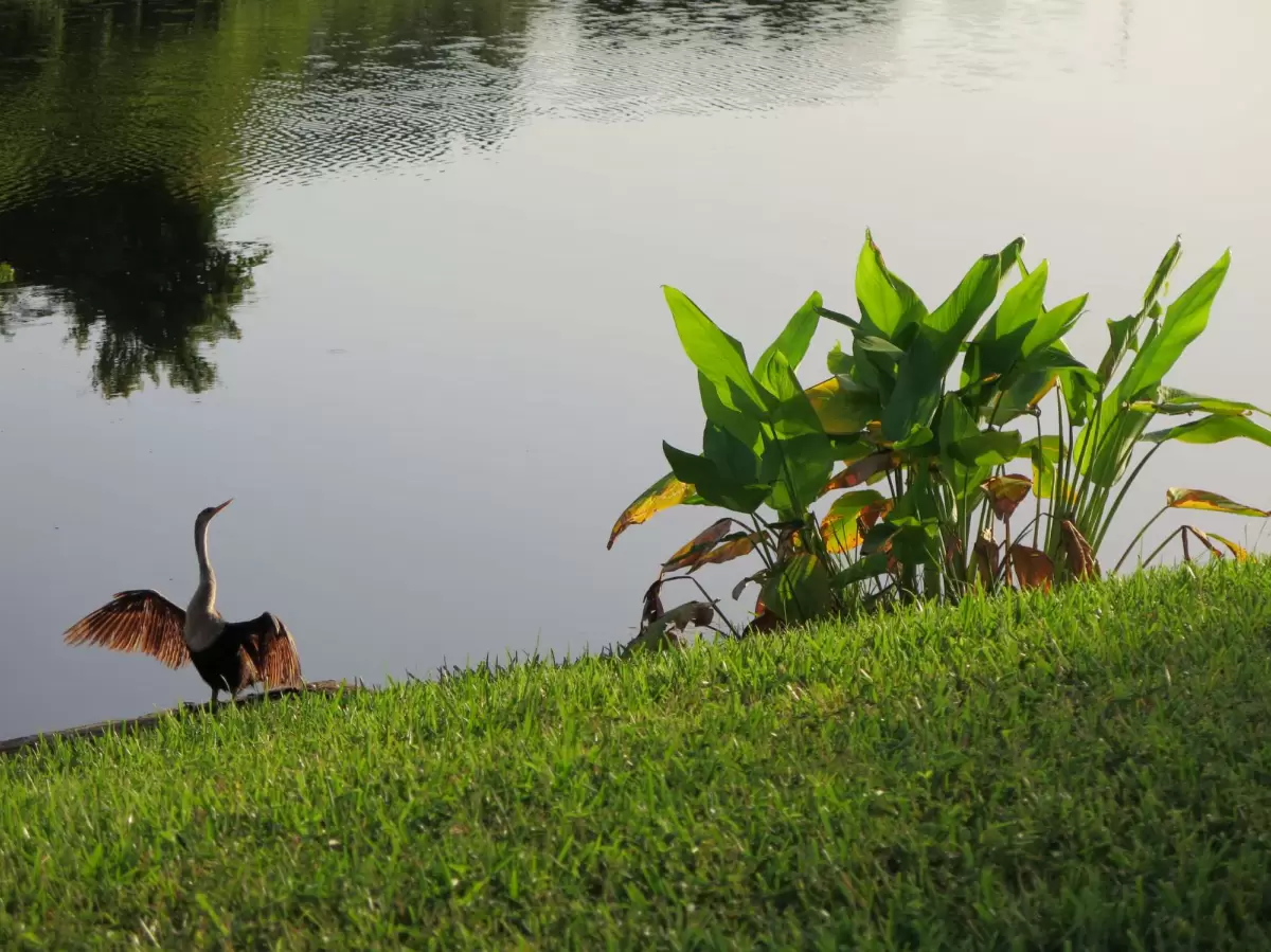 Golfpark Drive Walk, Celebration