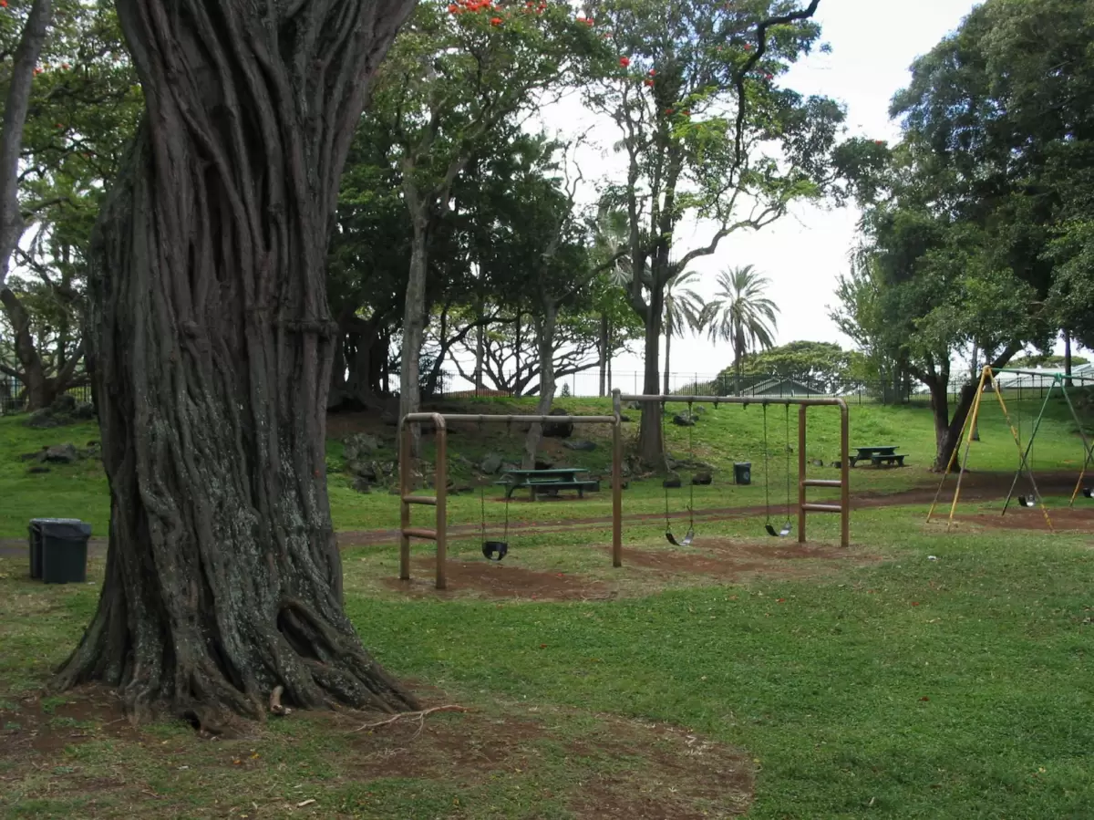 University Avenue Park or Kamanele Park