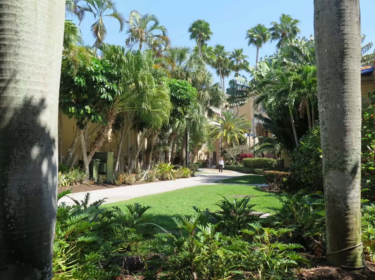 Palm Beach Atlantic University, WPB