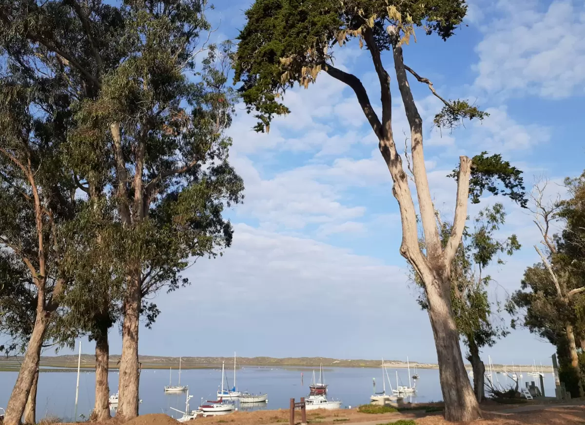 Bayshore Bluffs Park walk, Morro Bay