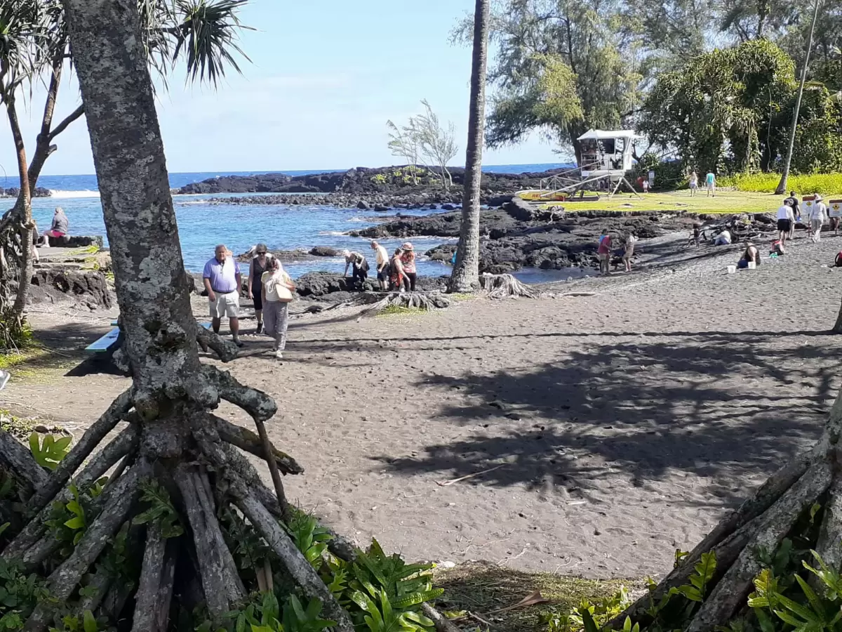 Richardson Ocean Park Black Sand Beach, Hilo