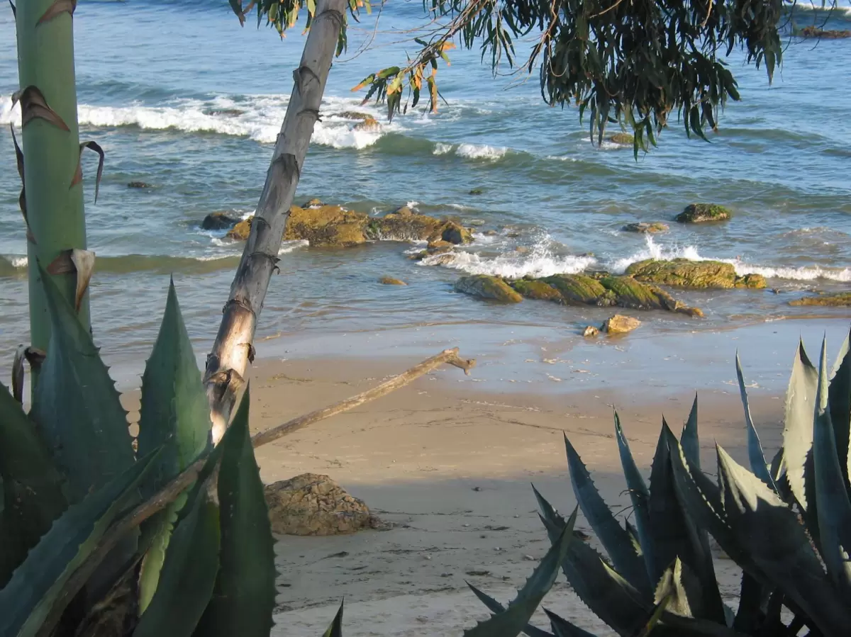 Coal Oil Point and Sands Beach