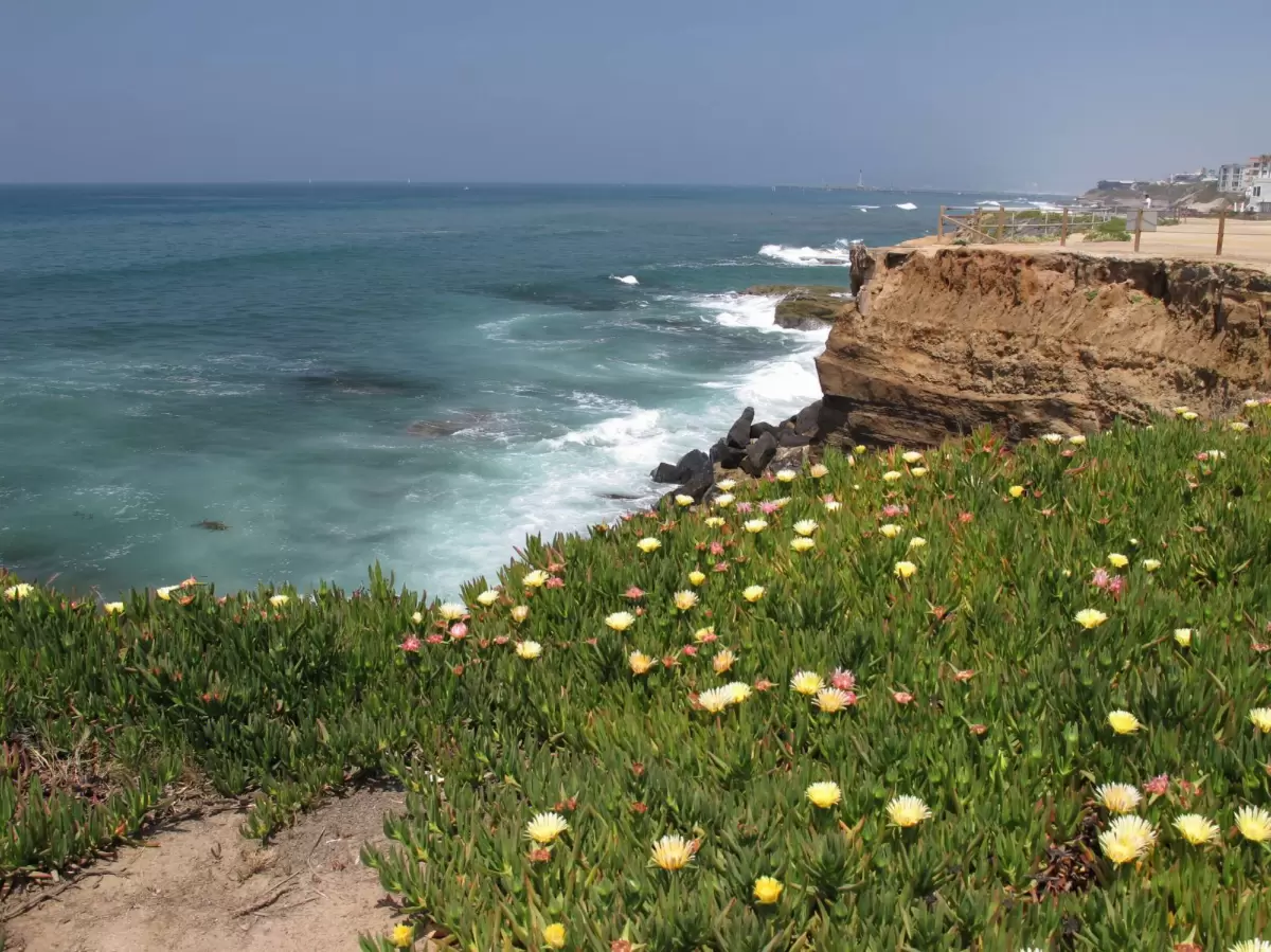Sunset Cliffs, Point Loma
