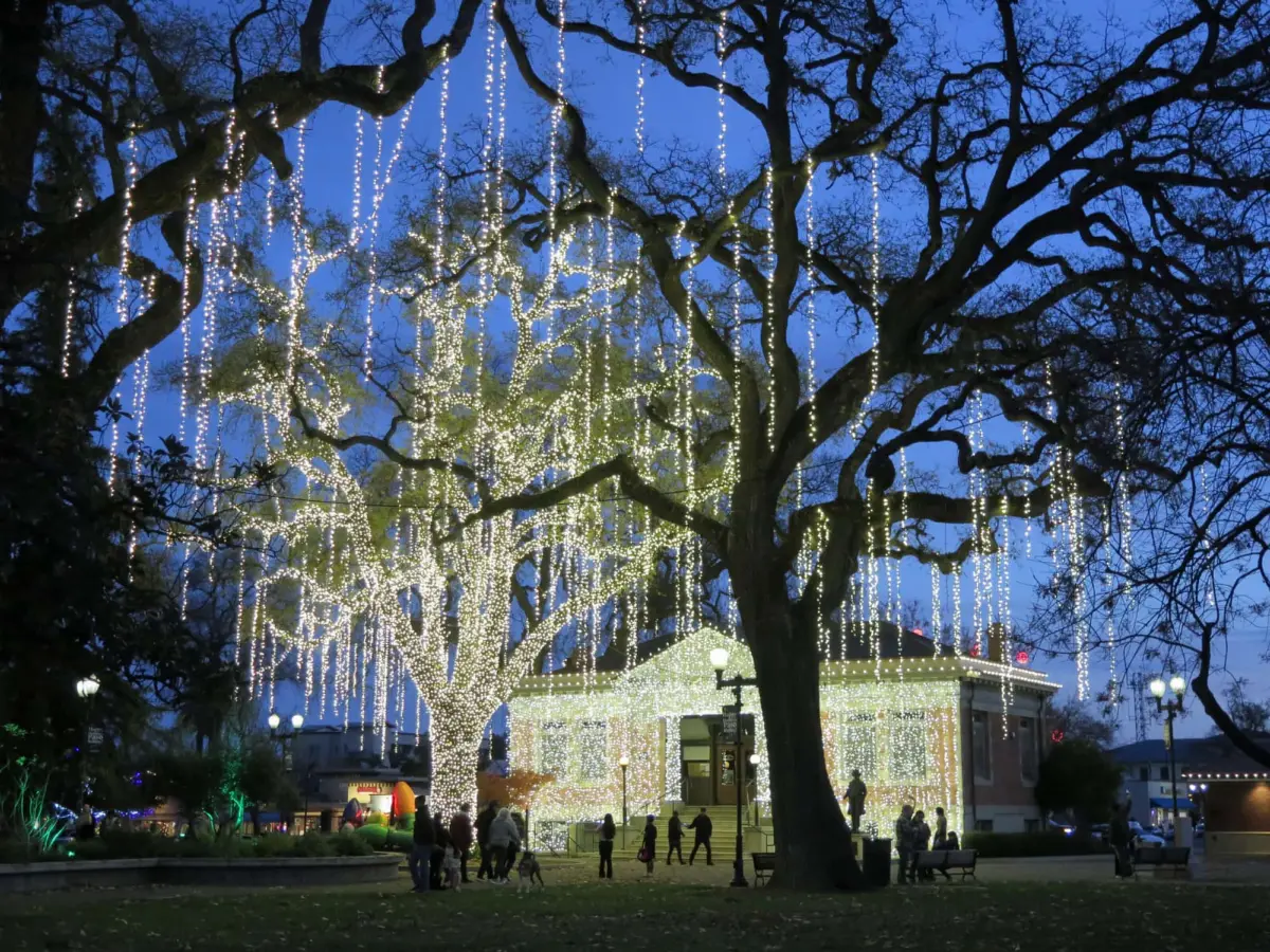 Christmas Lights, Paso Robles