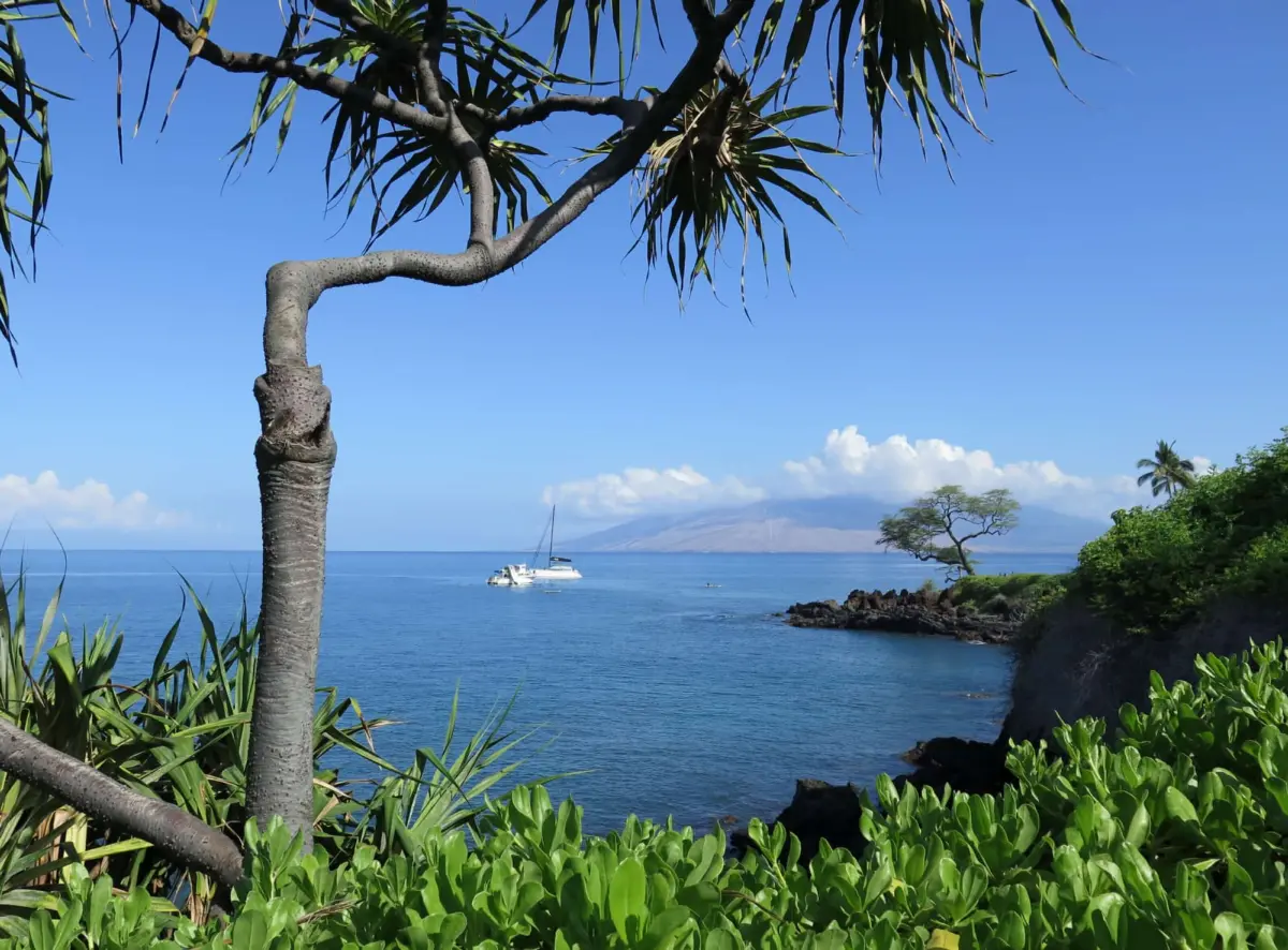 Wailea Beach Path, Wailea