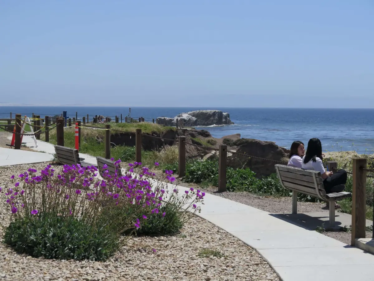 Eldwayen Ocean Park, Shell Beach
