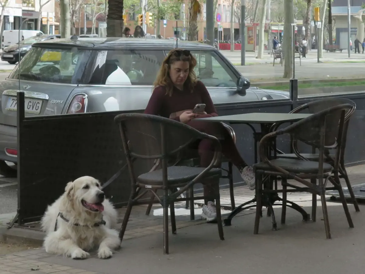 Why Some Countries Might Be More Friendly