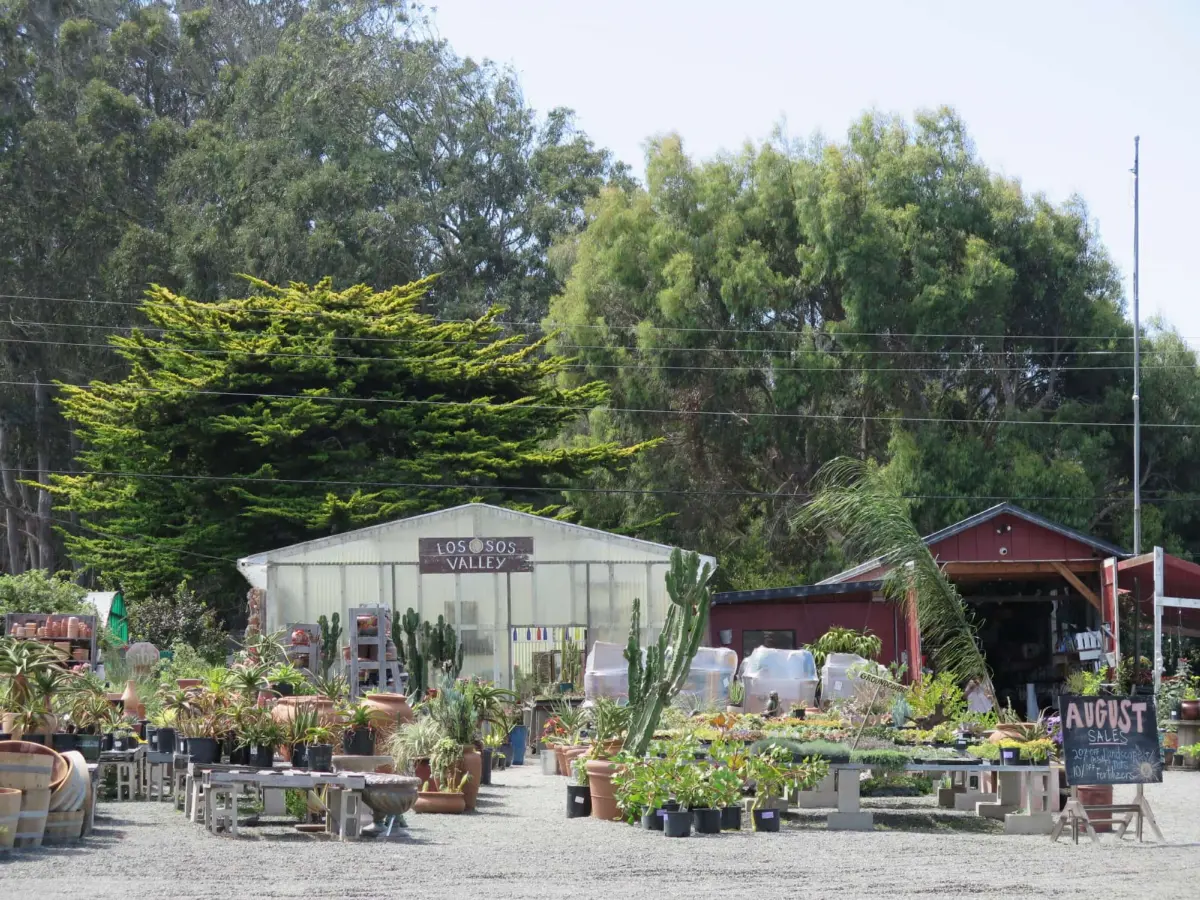Los Osos Valley Nursery, Los Osos