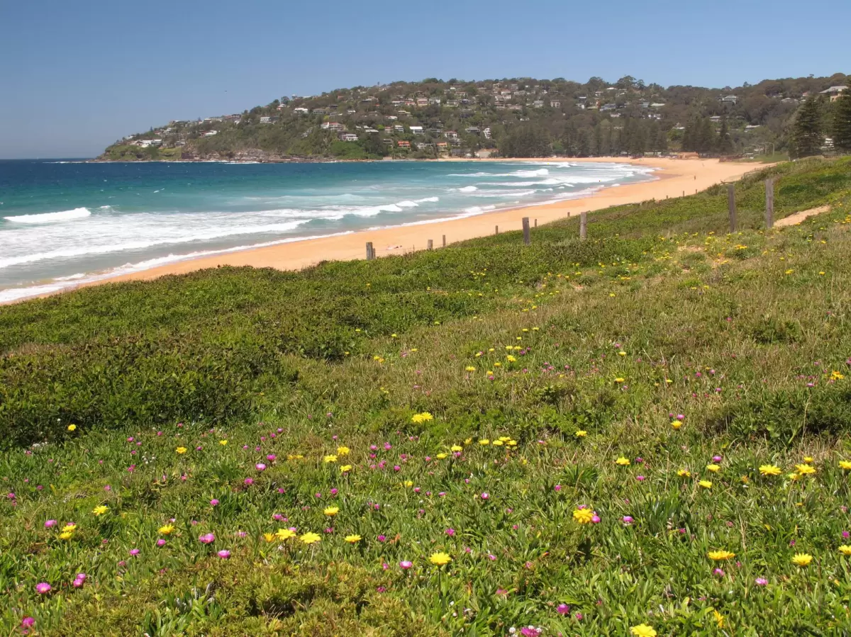 Palm Beach North