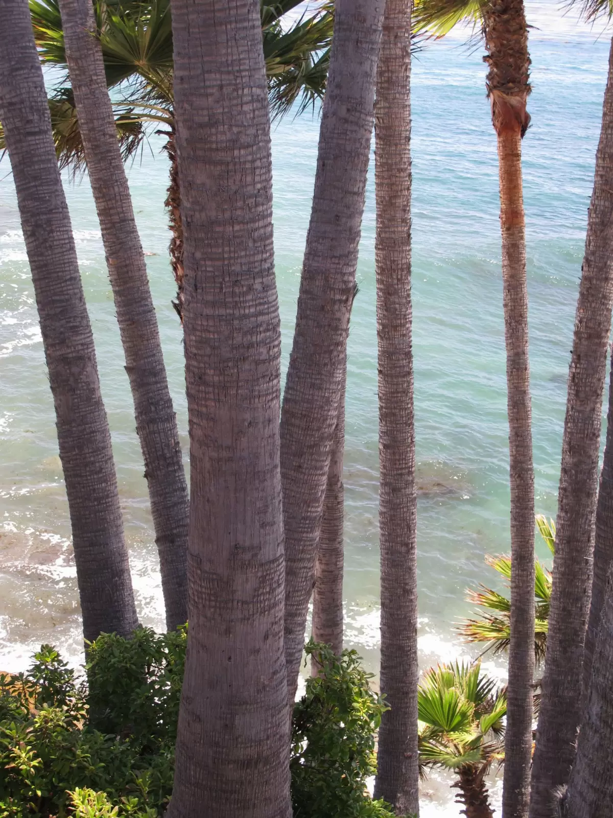 Heisler Park, Laguna Beach