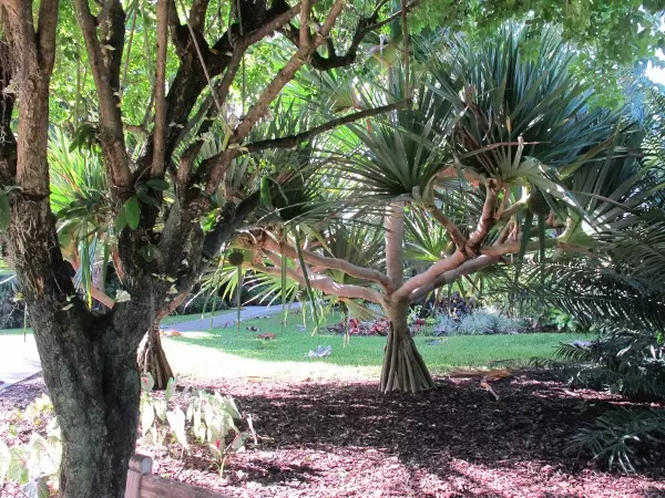 Mounts Botanical Garden, West Palm Beach